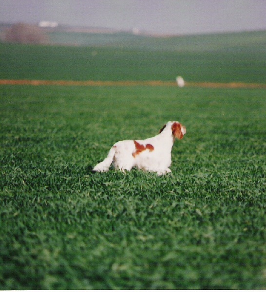 Romance du ker de l'isle